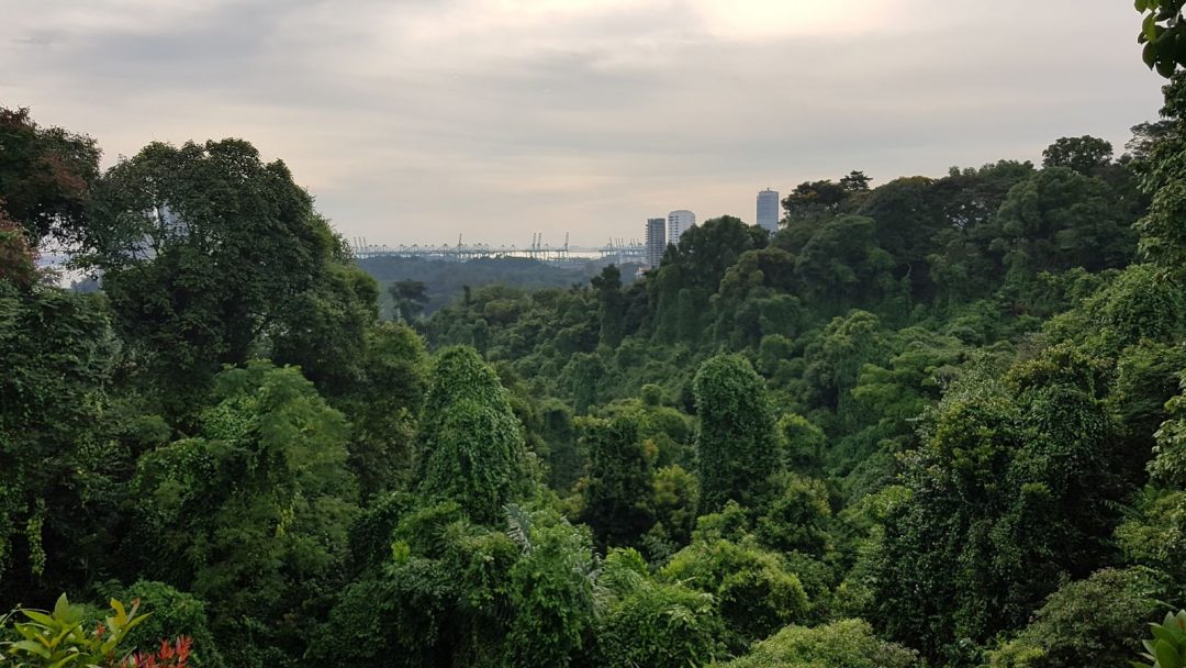 The Southern Ridges Singapore